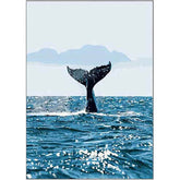 Paint by Numbers Whale